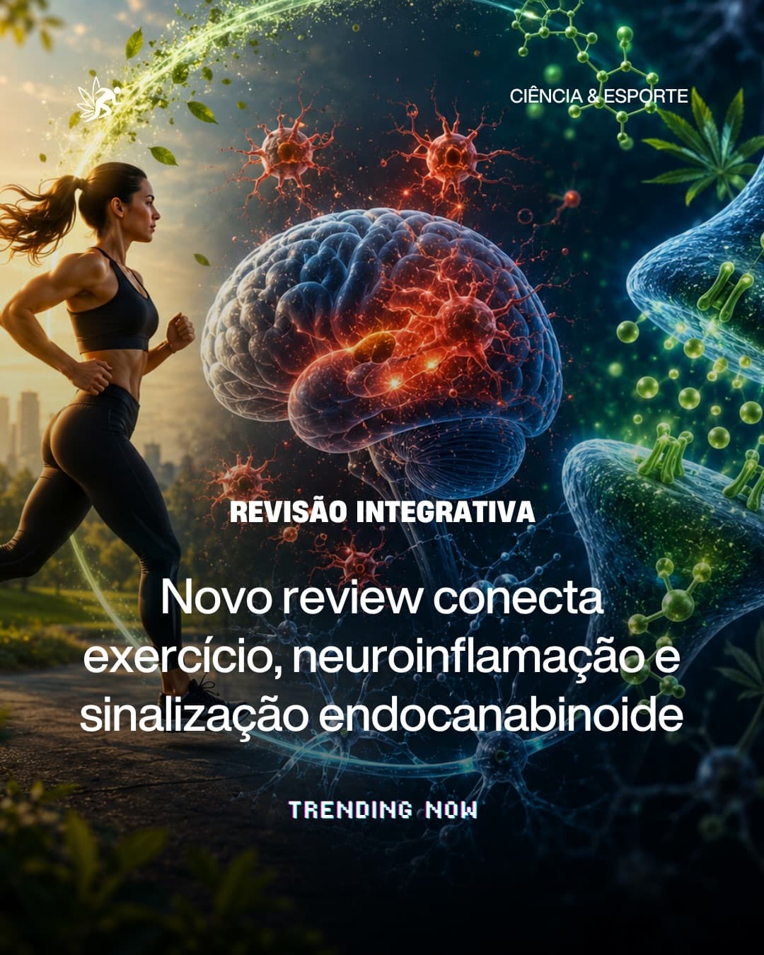 Revisão sobre exercício, neuroinflamação e sinalização endocanabinoide