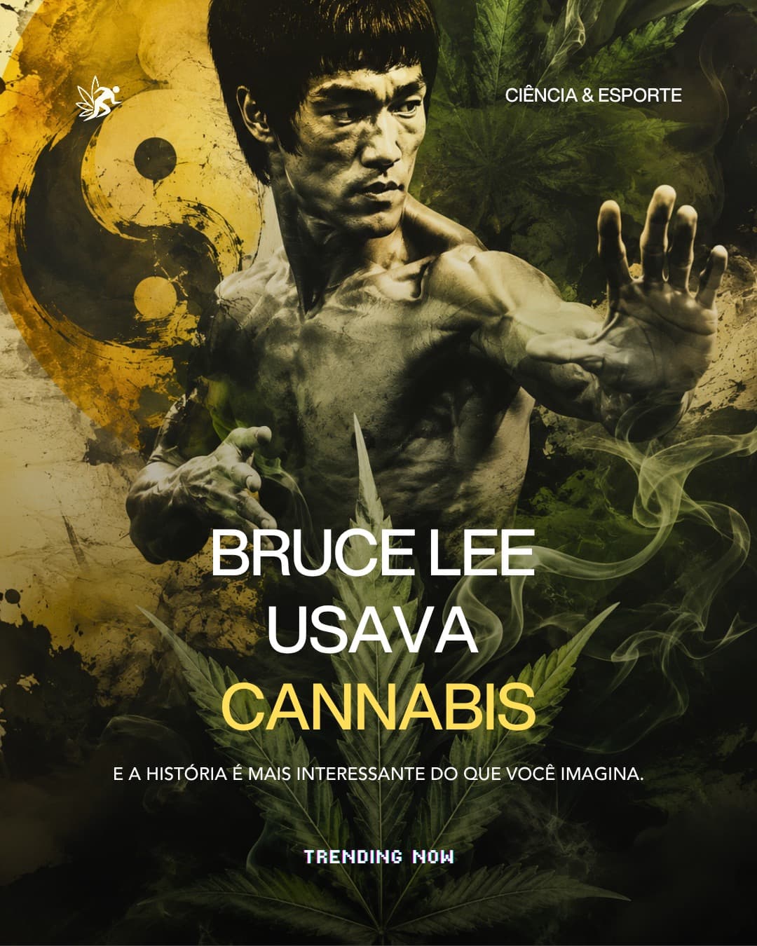 Publicação do Atleta Cannabis sobre Bruce Lee e cannabis